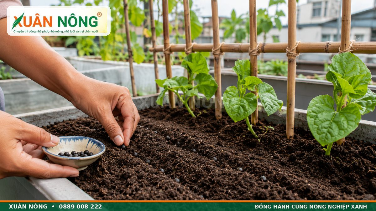 Cách gieo hạt rau mồng tơi trong thùng xốp có giàn tre