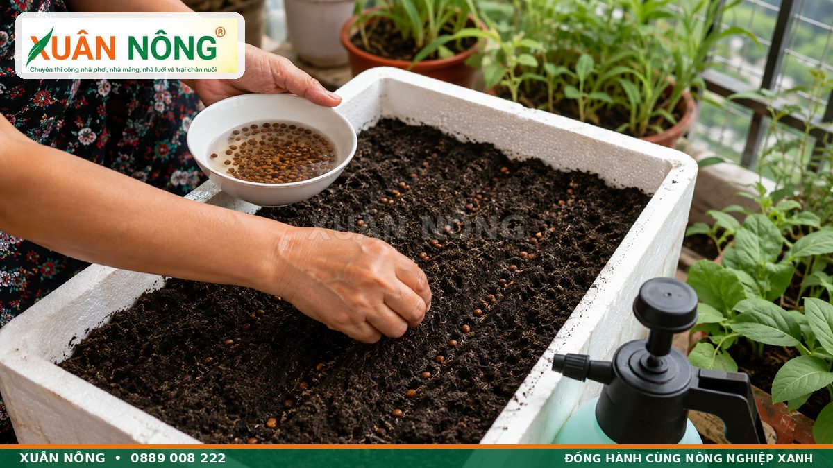 Cách gieo hạt rau muống trong thùng xốp tại nhà