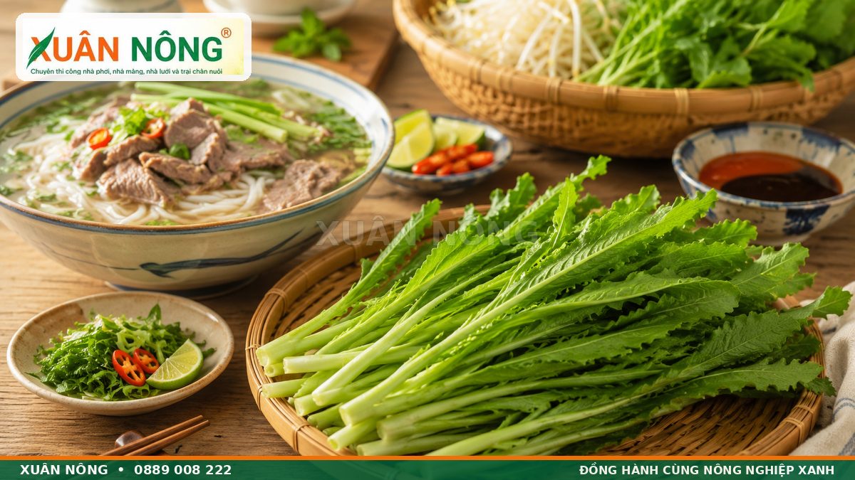 Ngò gai thu hoạch dùng làm rau thơm cho món ăn