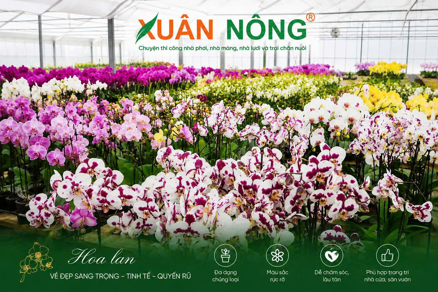 moi-truong-trong-hoa-lan