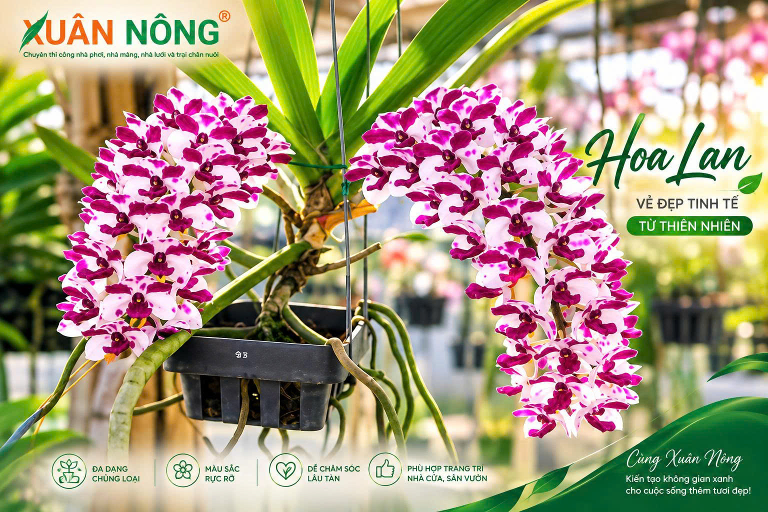 trong-hoa-lan-dung-ky-thuat