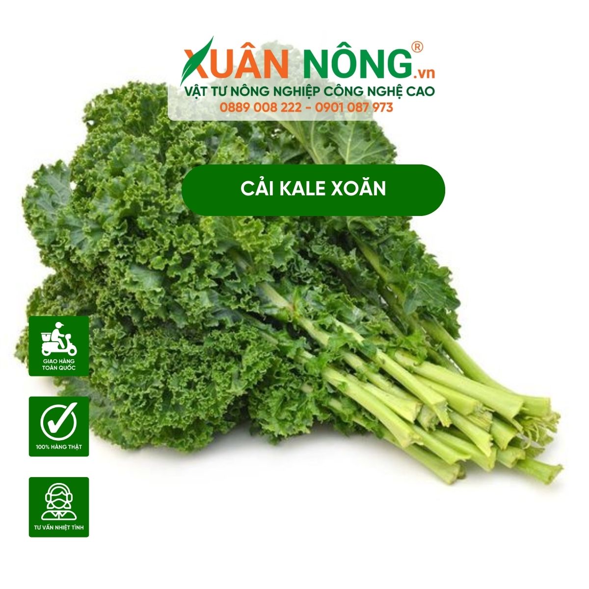 cai-kale