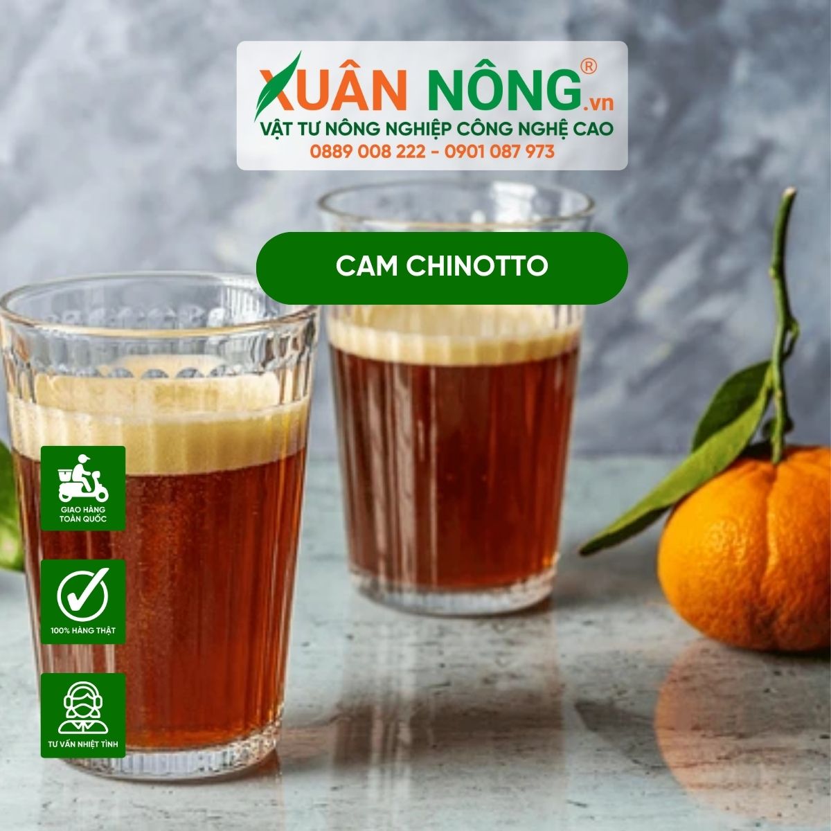 cam-chinotto-gia-vi