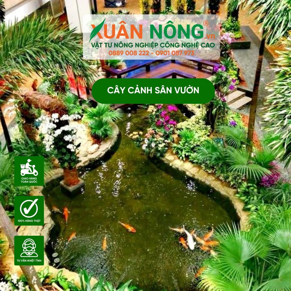 cay-canh-san-vuon-ho-ca