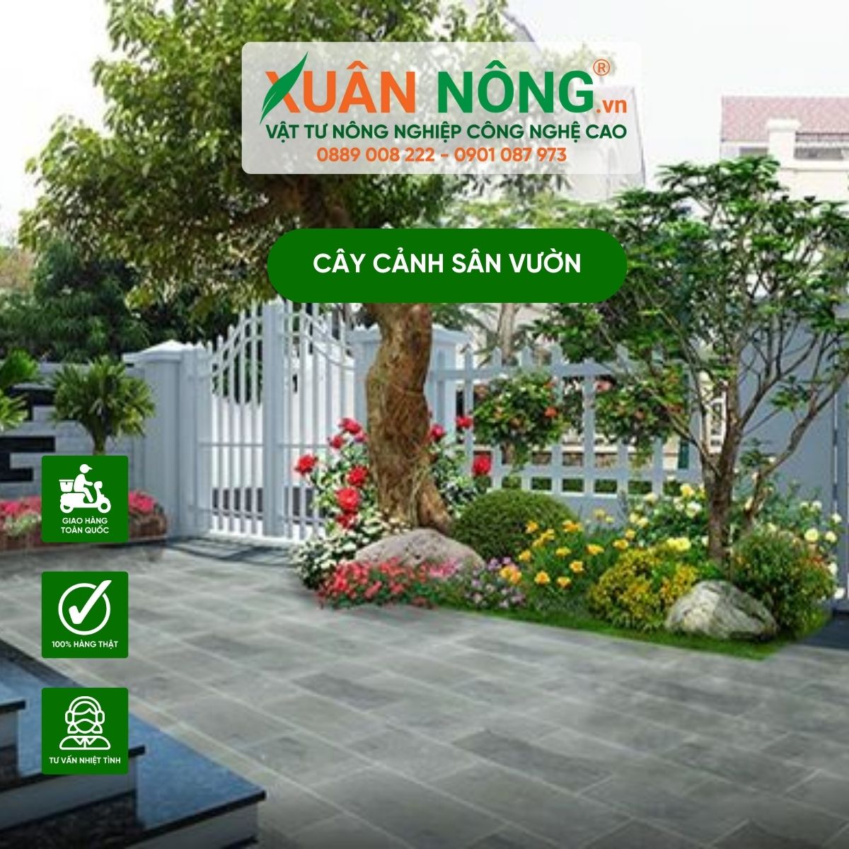 cay-canh-san-vuon-phong-thuy