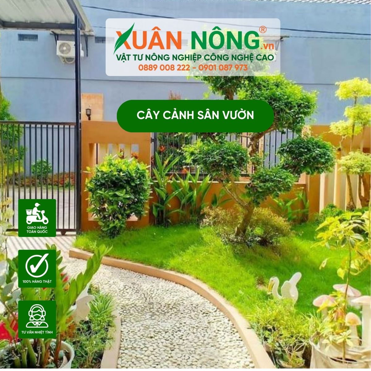 cay-canh-san-vuon