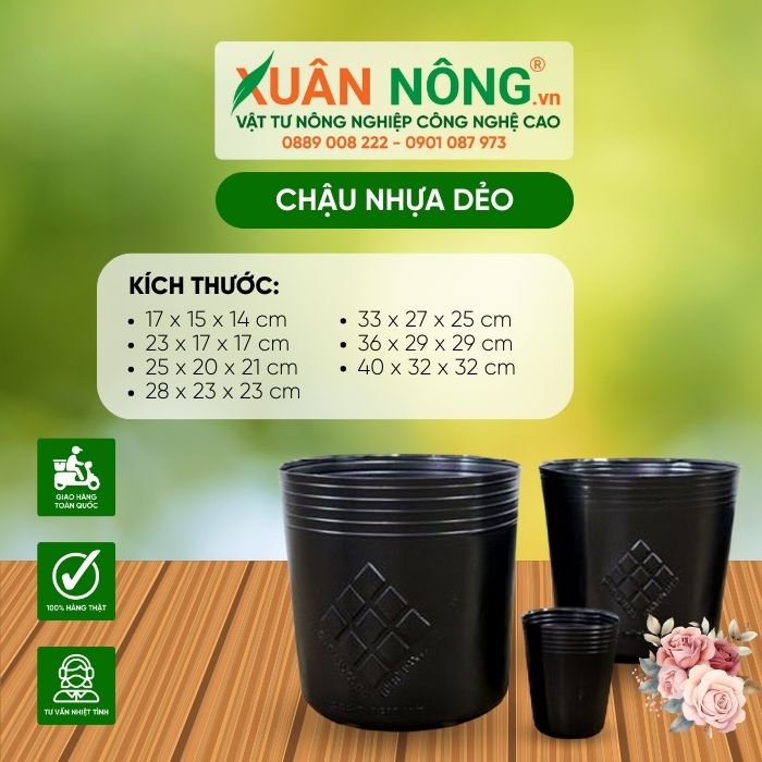 chau nhua deo