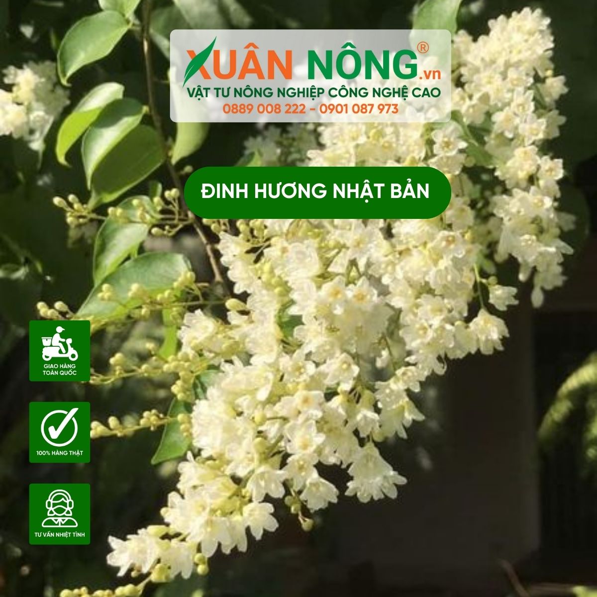 dac-diem-dinh-huong-nhat-ban