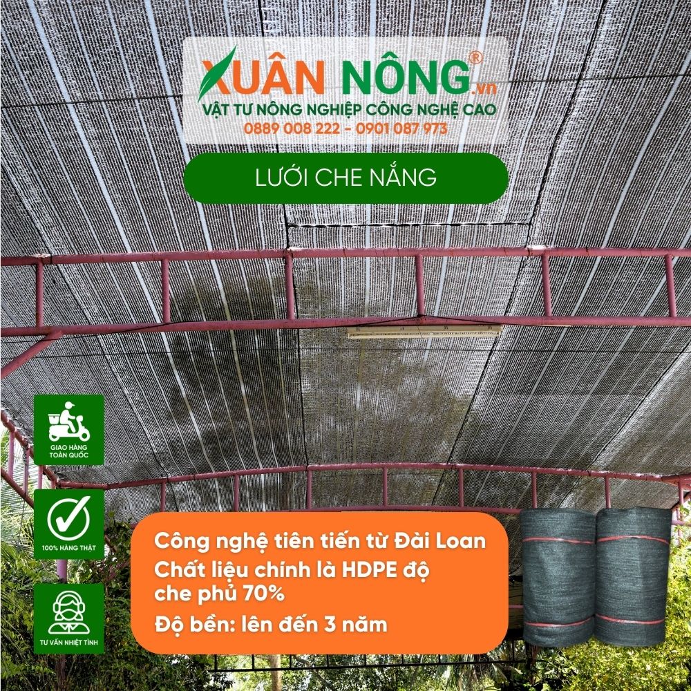 luoi-che-nang