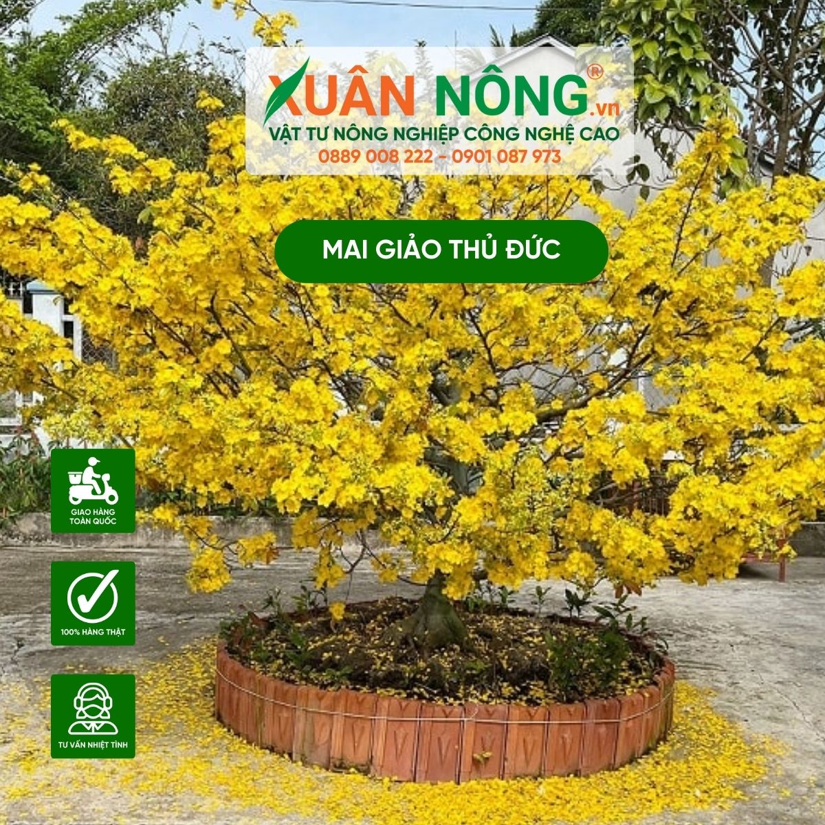 mai-giao-thu-duc