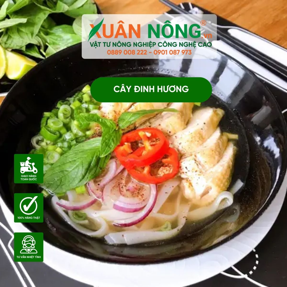 mon-an-gia-vi-dinh-huong