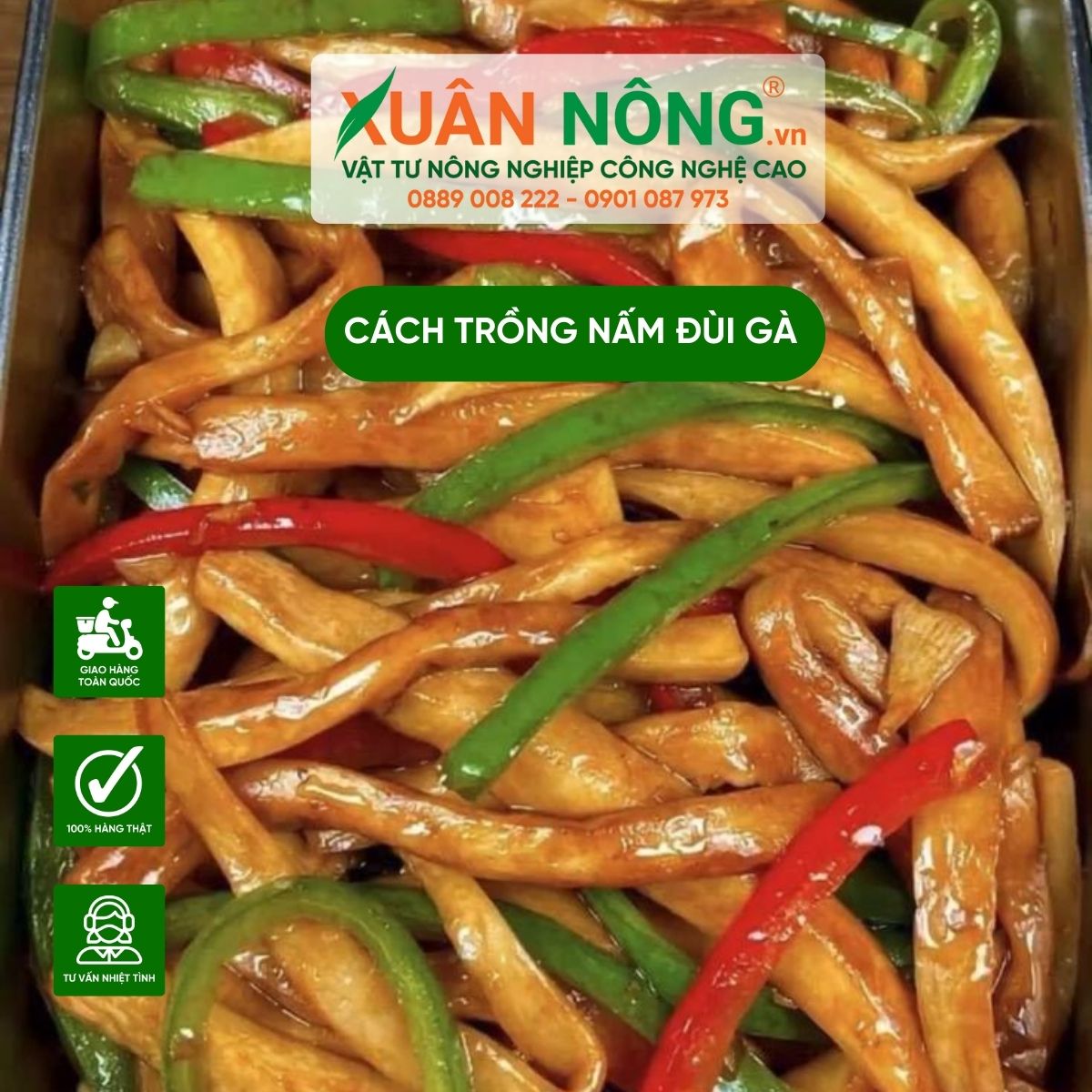 nam-dui-ga-xao