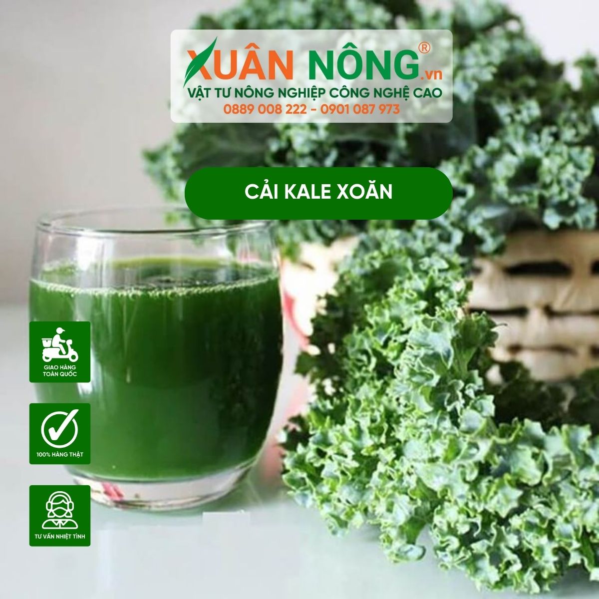 nuoc-ep-cai-kale