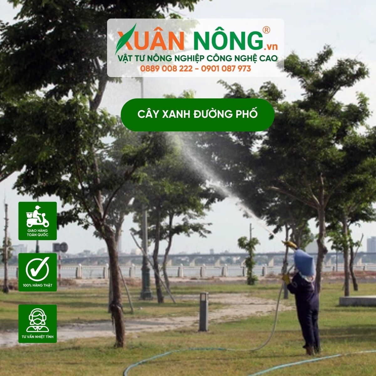 tuoi-nuoc-cay-xanh-duong-pho