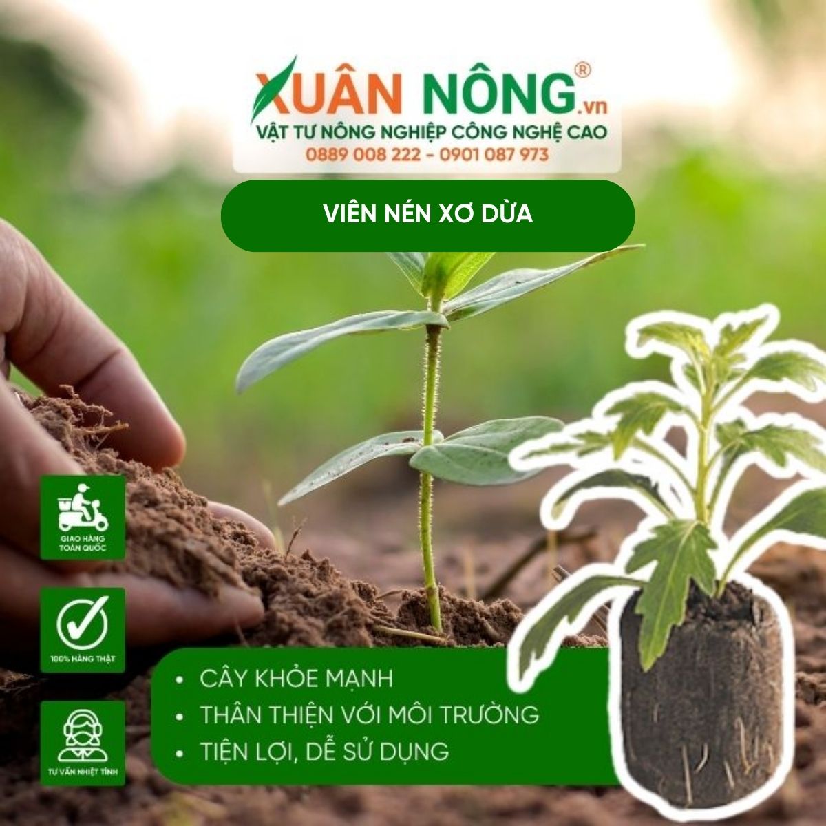 vien-nen-xo-dua-cong-dung