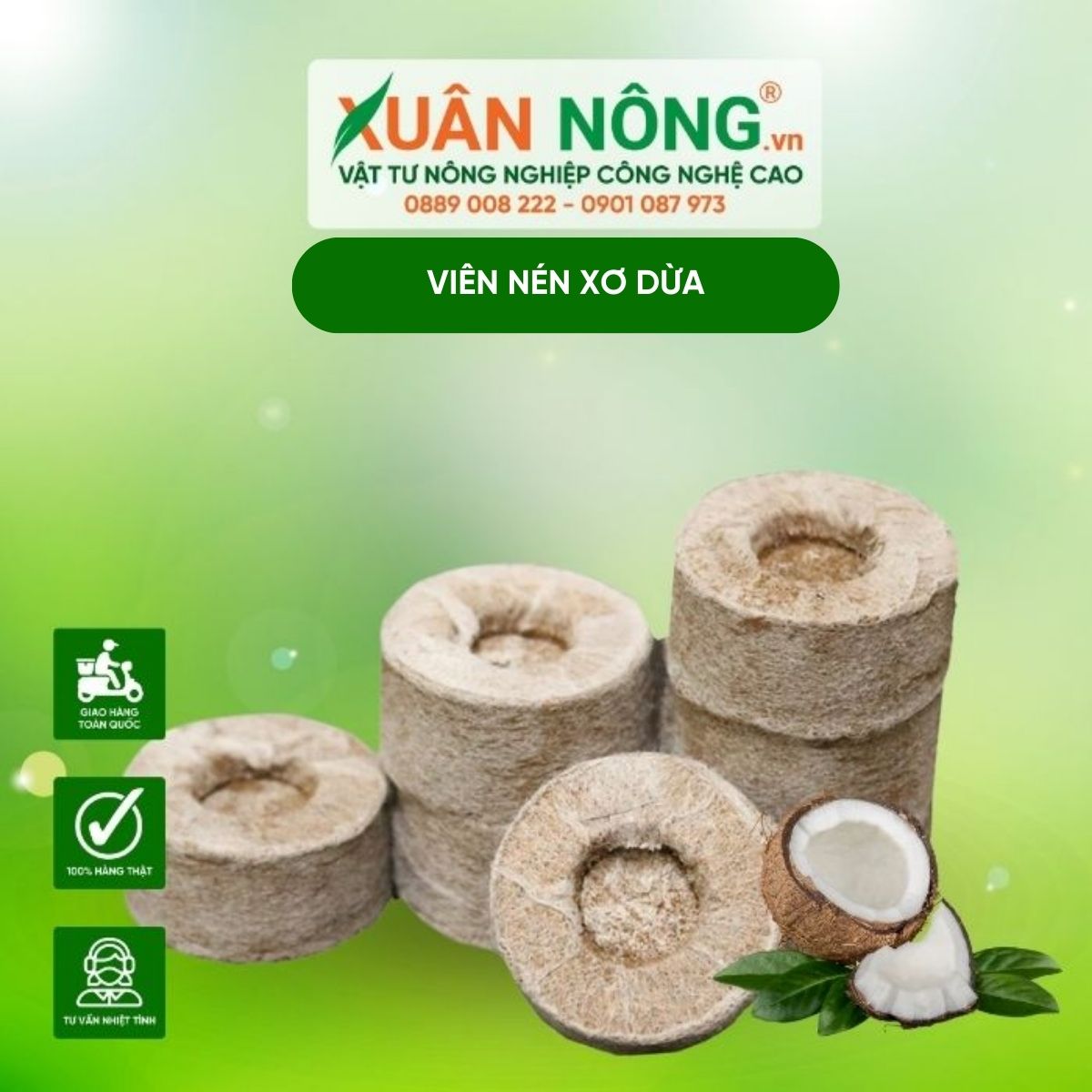 vien-nen-xo-dua-xuan-nong