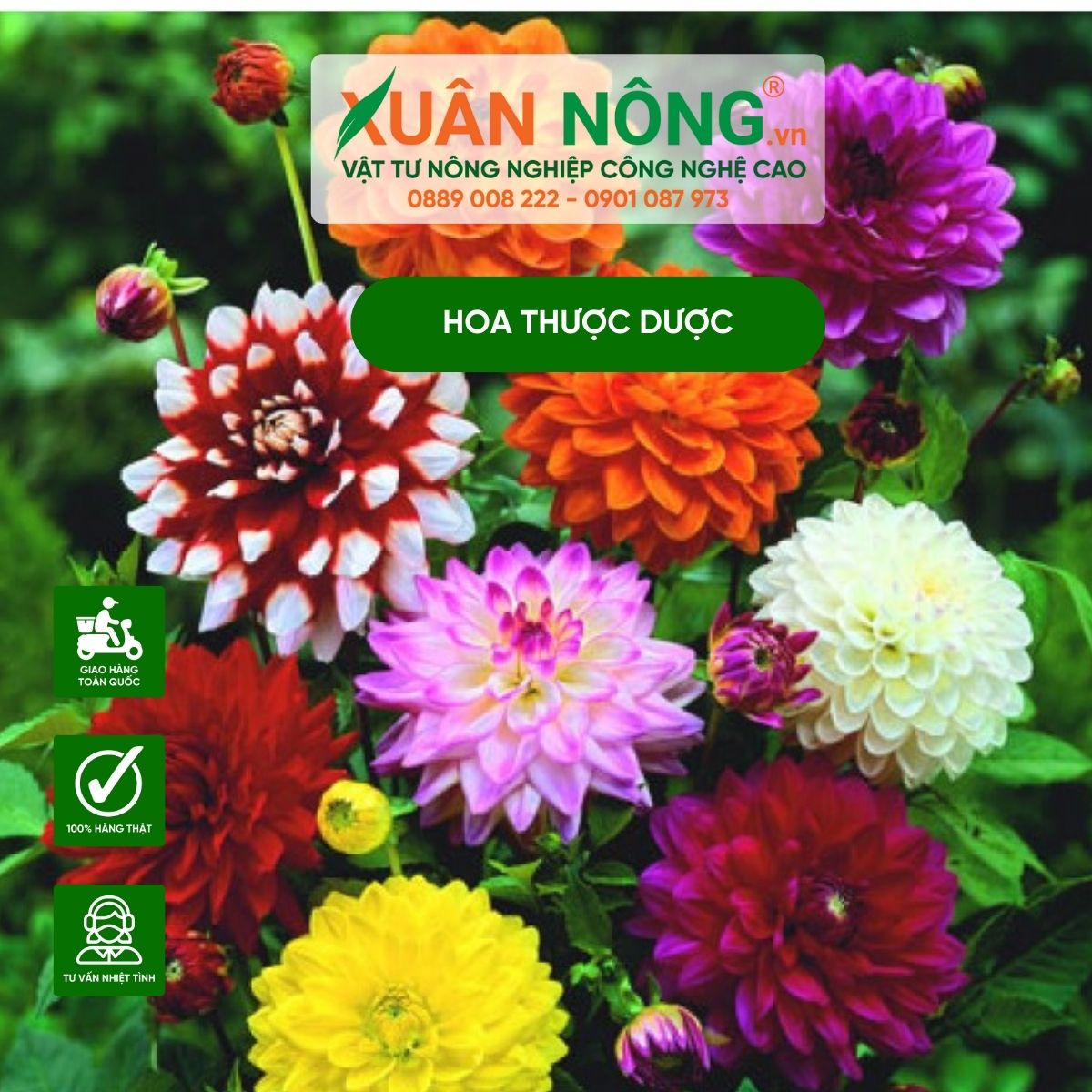 y-nghia-hoa-thuoc-duoc