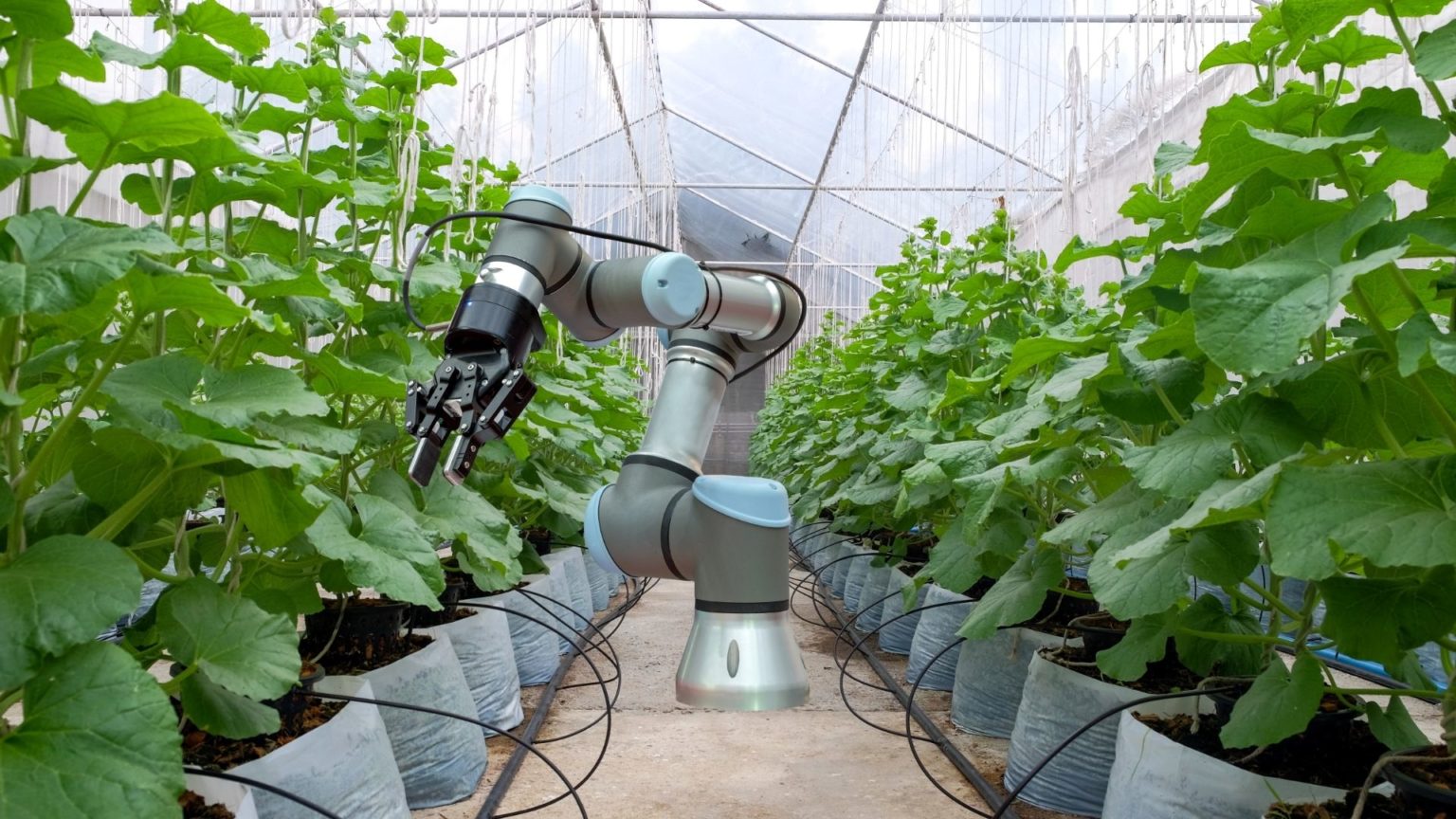 Automation-in-Agricultural-farm-field-1536x864