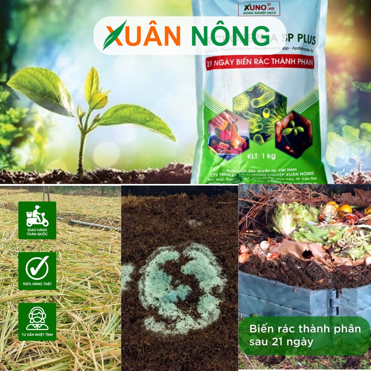 4-cach-su-dung-nam-trichoderma-mang-lai-hieu-qua-nhat-2