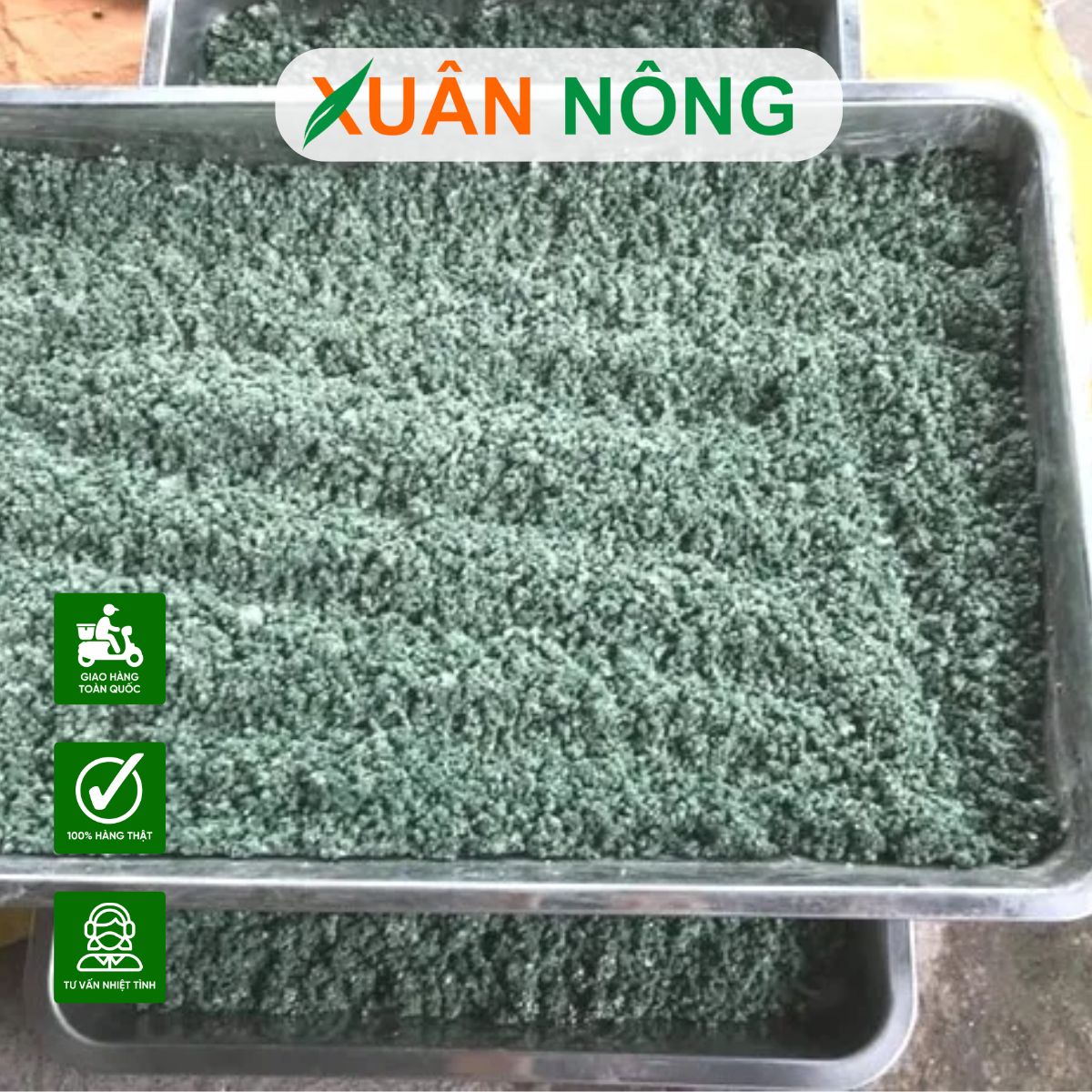 4-cach-su-dung-nam-trichoderma-mang-lai-hieu-qua-nhat 1