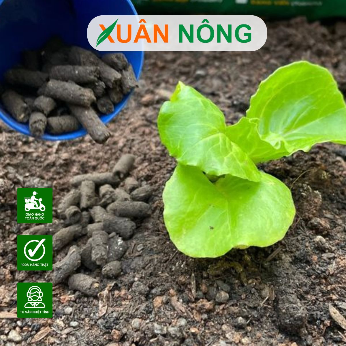 bon-phan-cho-rau-bang-npk-hay-huu-co