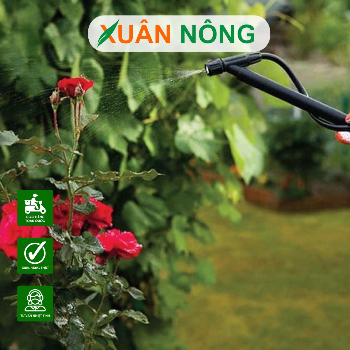 cach-su-dung-nam-trichoderma-cho-hoa-hong-hieu-qua-1