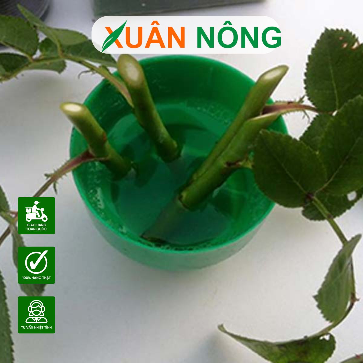 cach-su-dung-thuoc-kich-re-1