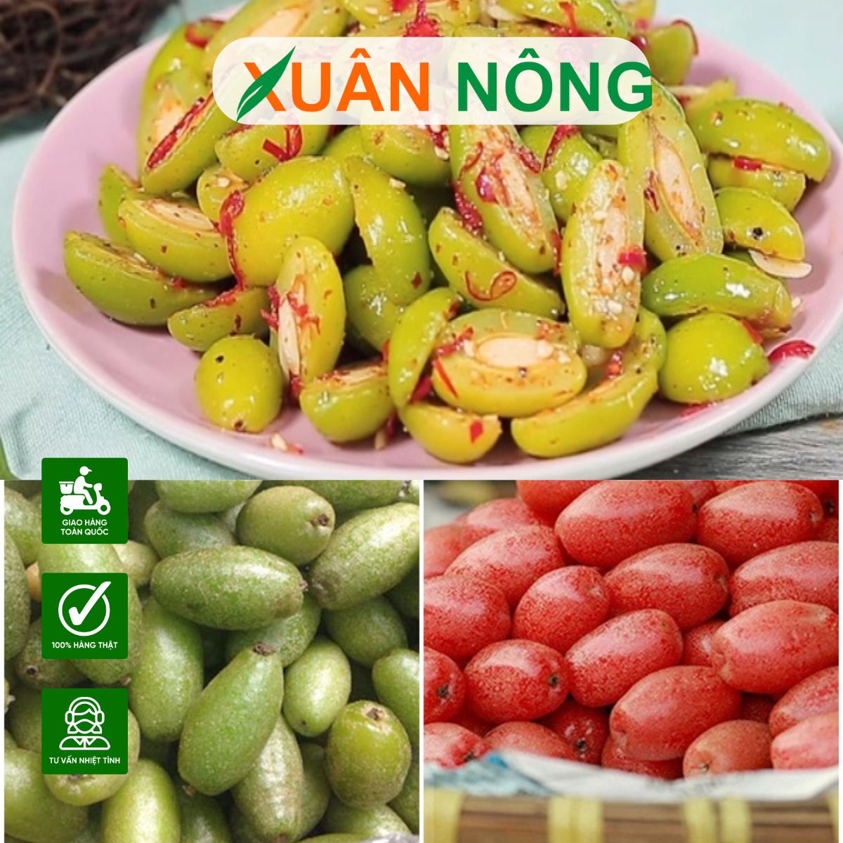cach-trong-cay-nhot-2