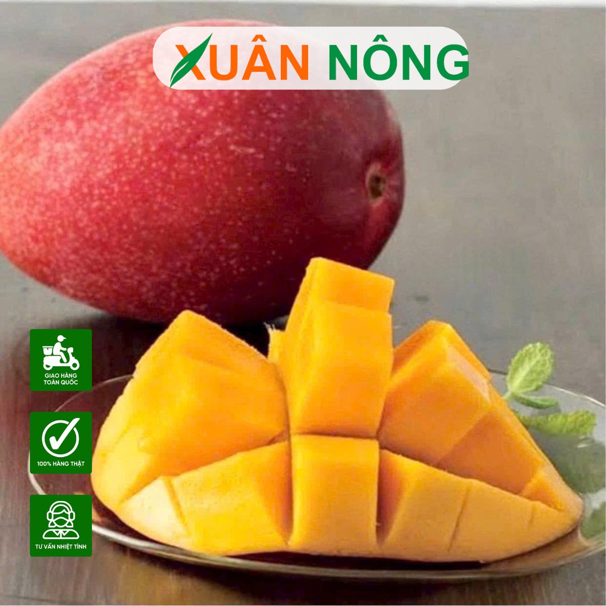 cach-trong-xoai-do-nhat-ban-4