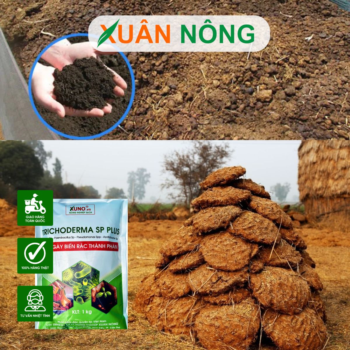 cach-u-phan-bo-bang-nam-trichoderma-don-gian-nhanh-hoai-muc-1