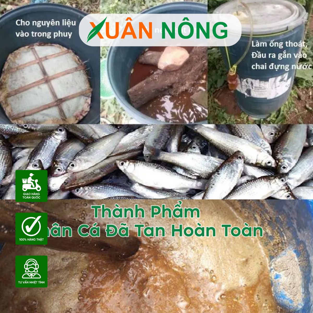 cach-u-phan-ca-voi-nam-trichoderma