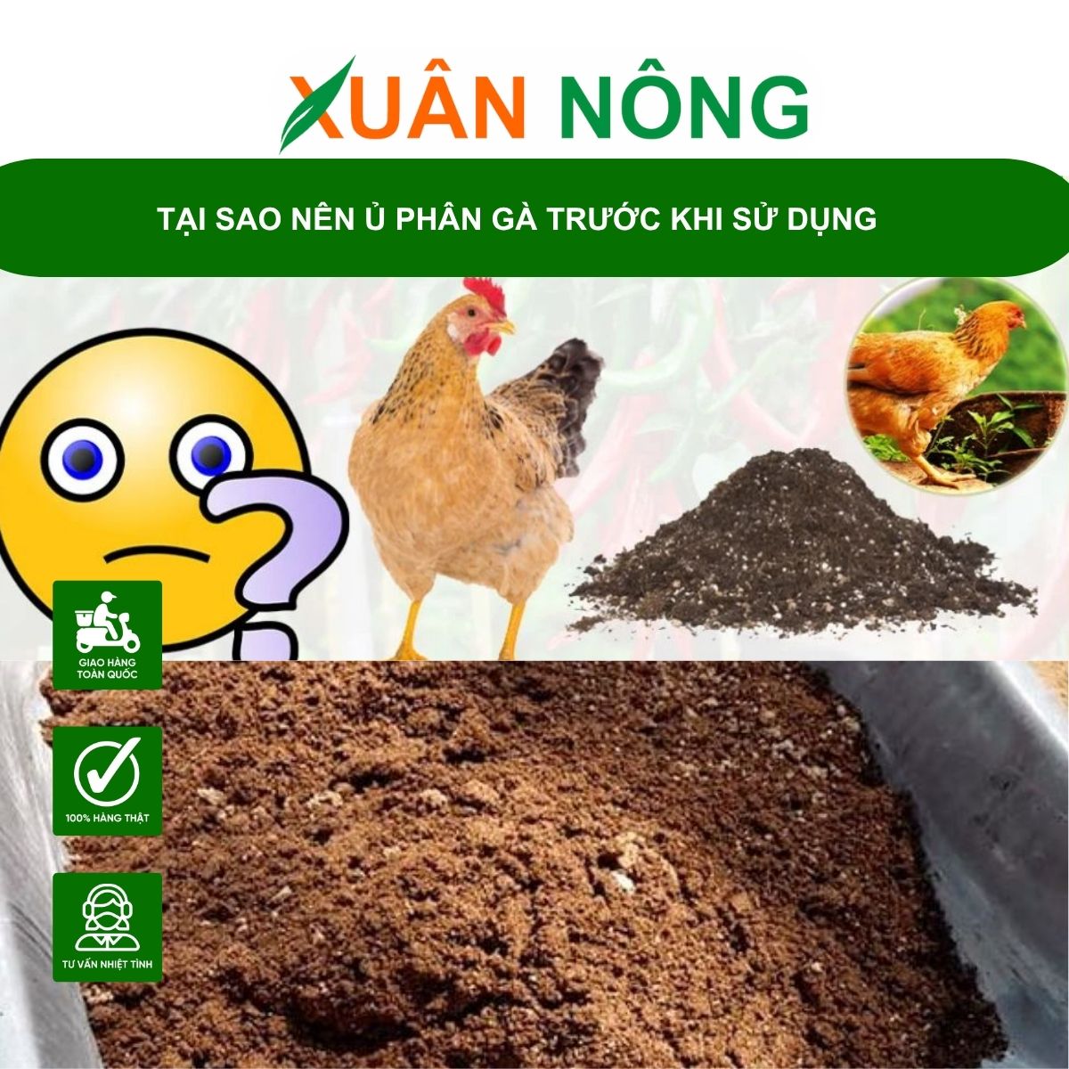 cach-u-phan-ga-u-bang-sumagrow