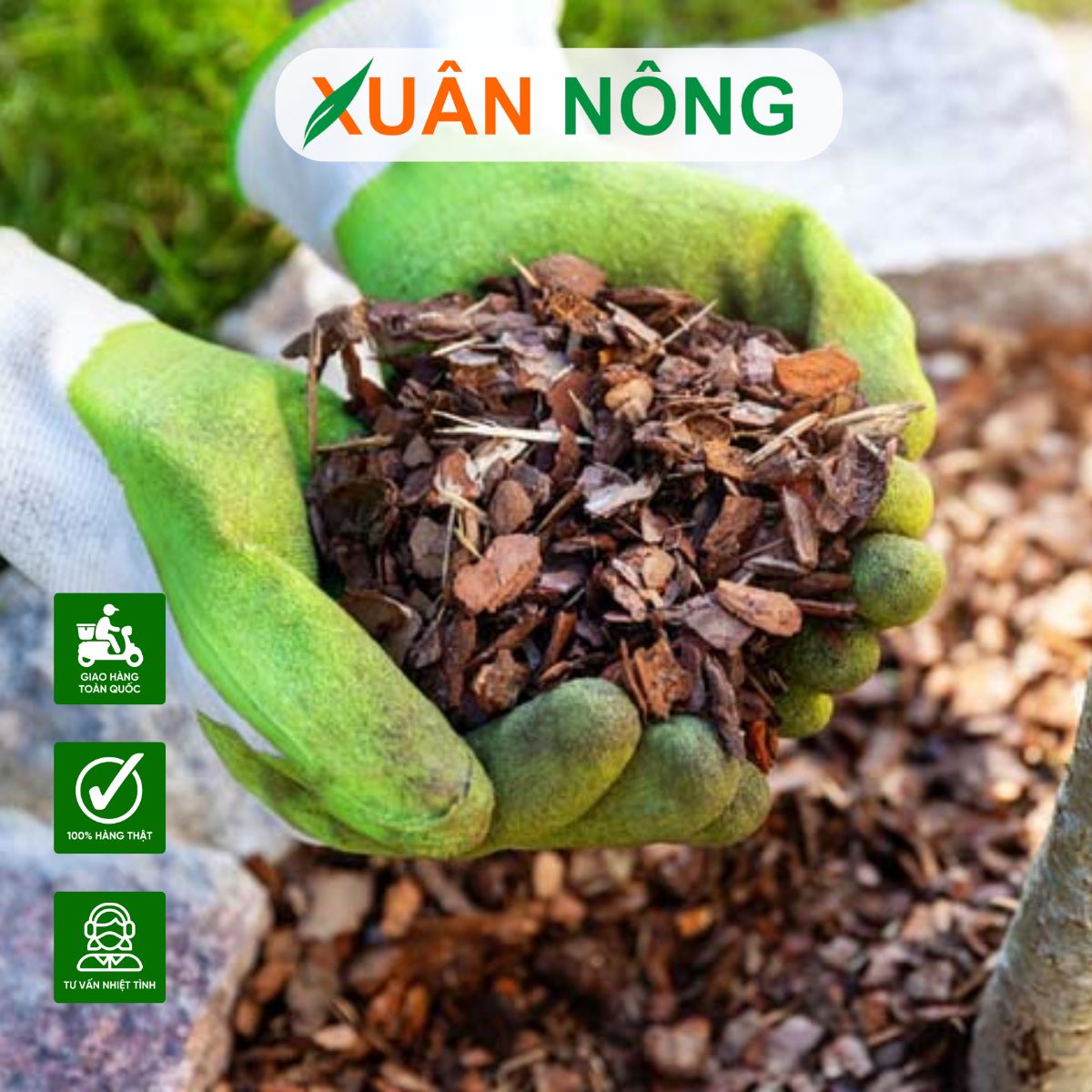 cach-xu-ly-vo-thong-trong-lan