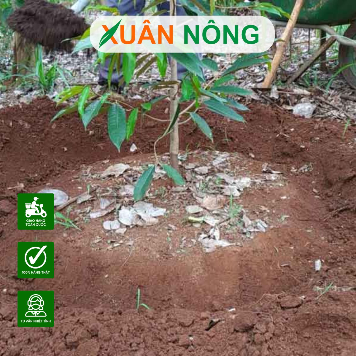 cham-soc-khi-bung-cay-3
