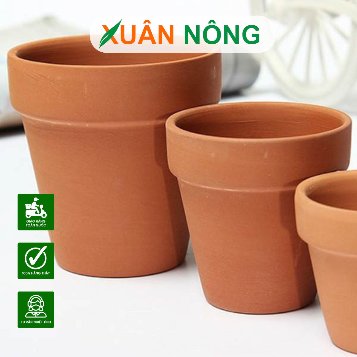 chau-dat-nung