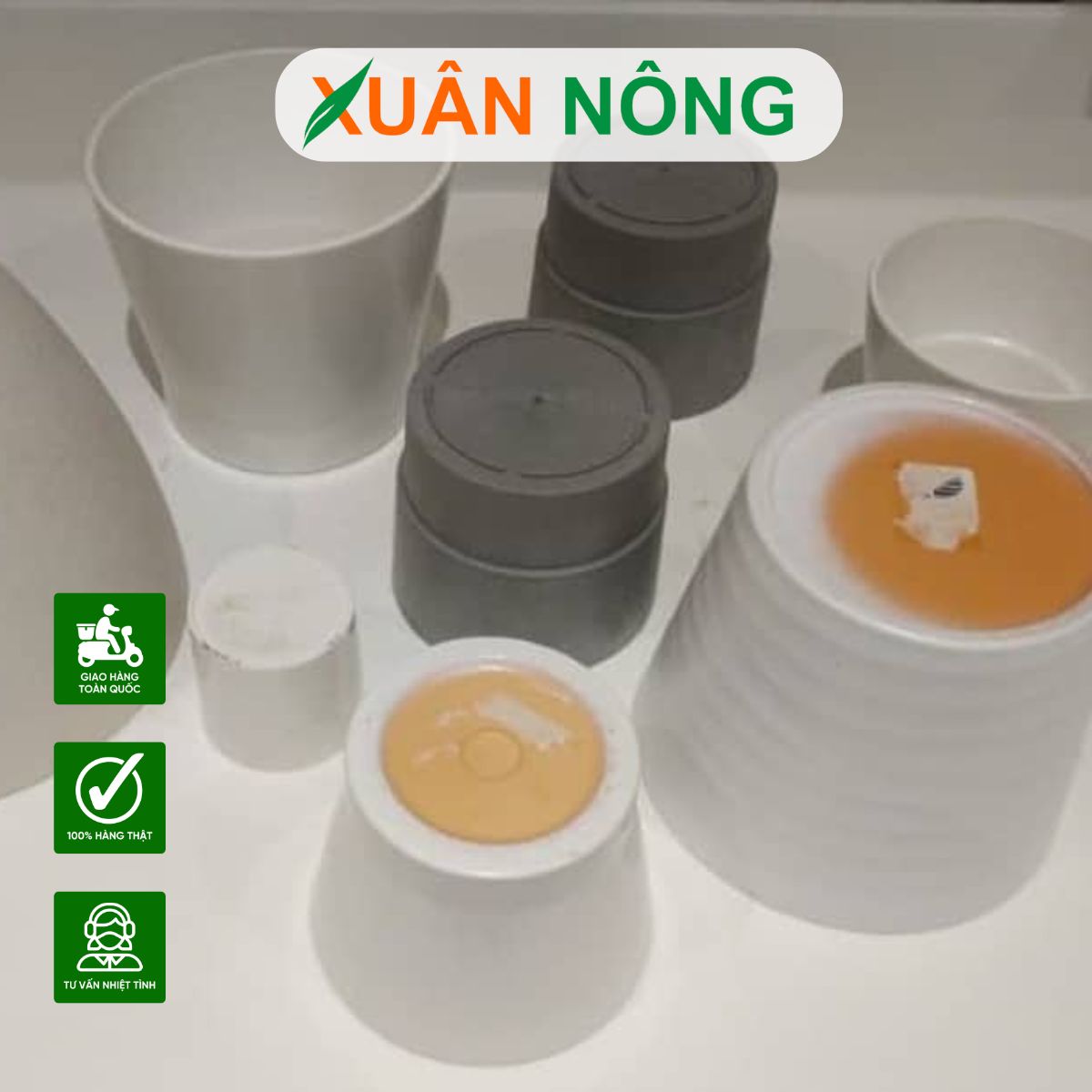 chau-khong-co-lo-thoat-nuoc