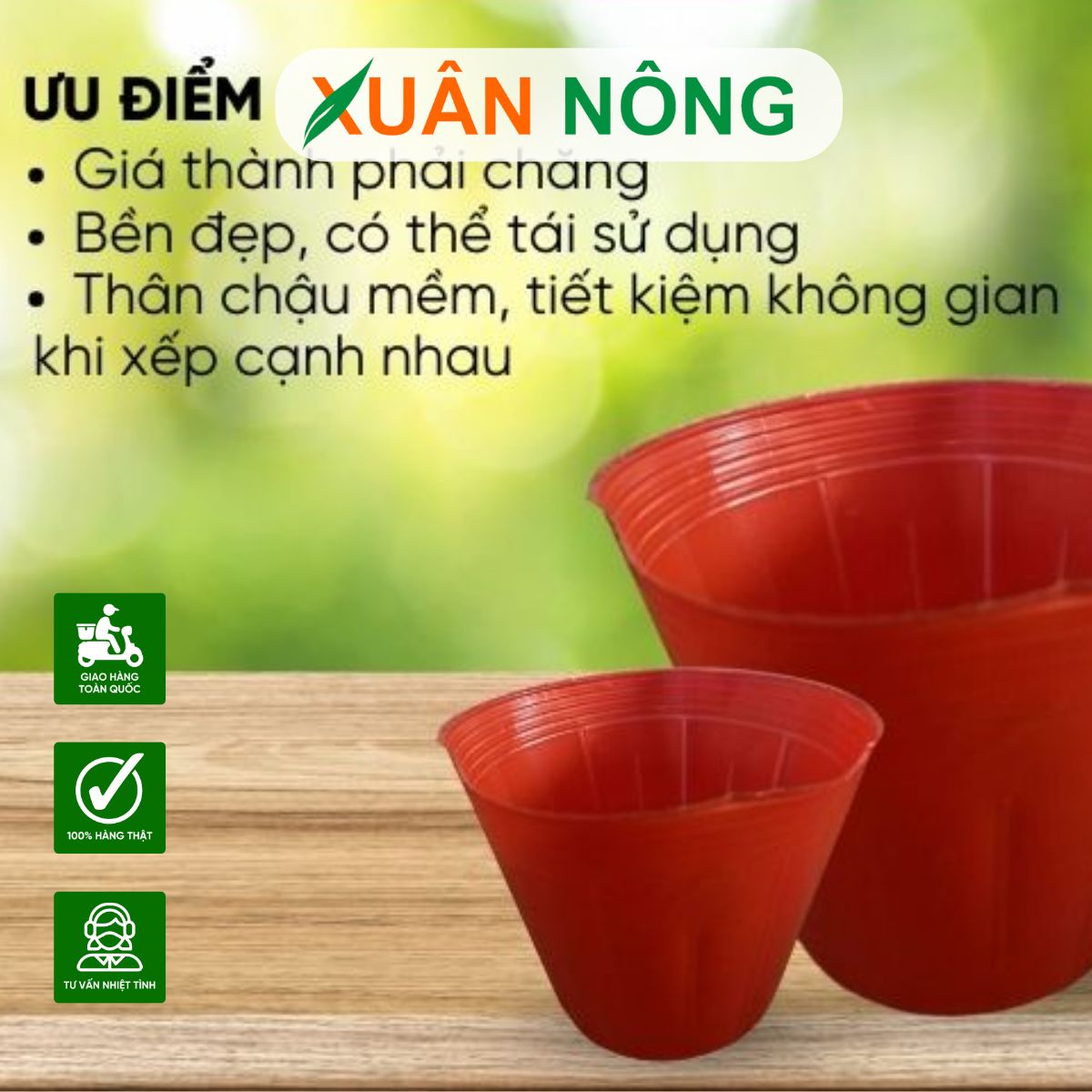 chau-nhua-2