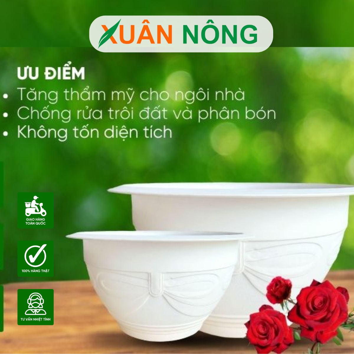 chau-nhua-3