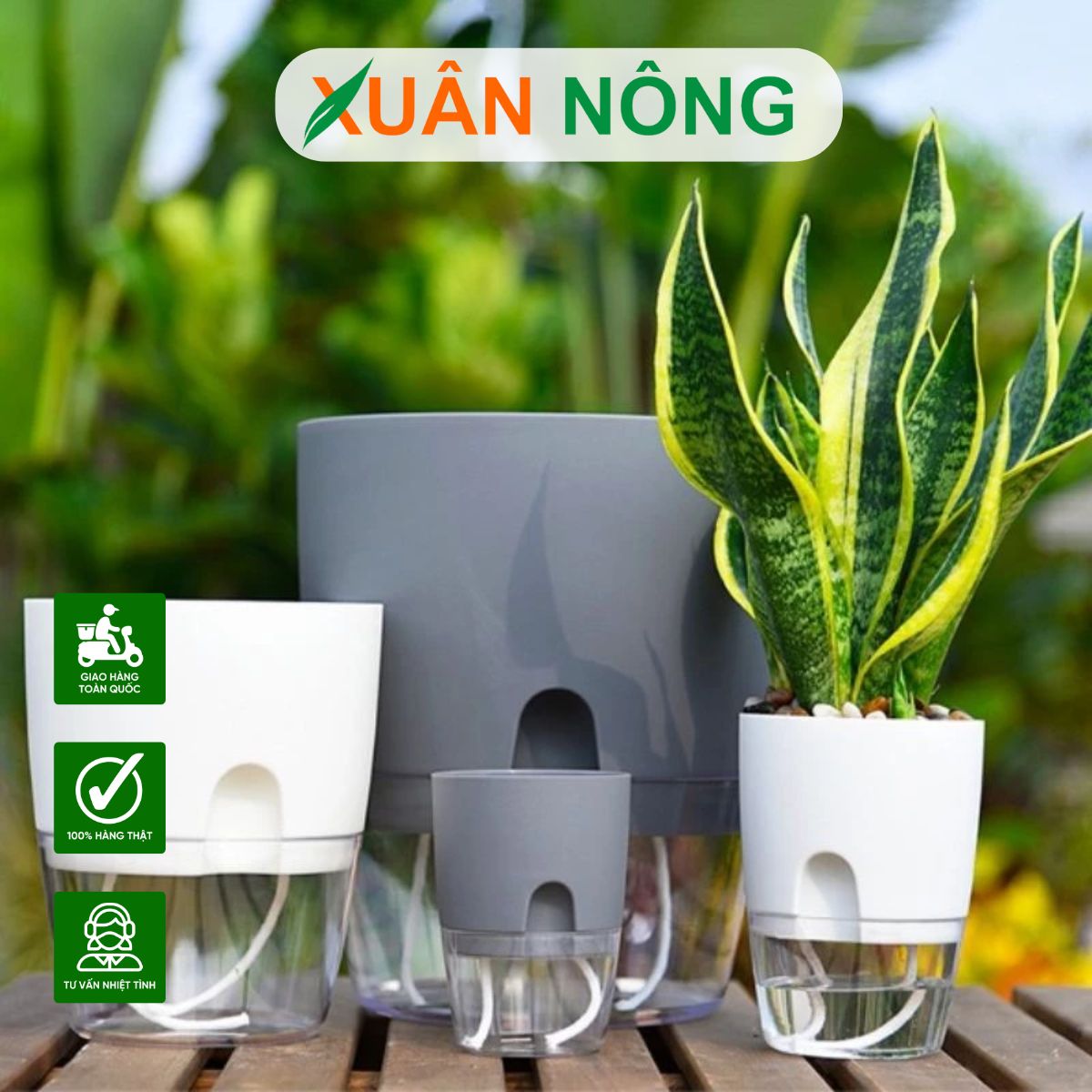 chau-thong-minh-tu-tuoi
