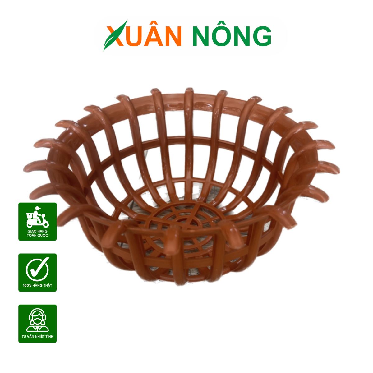 chau-trong-lan-3