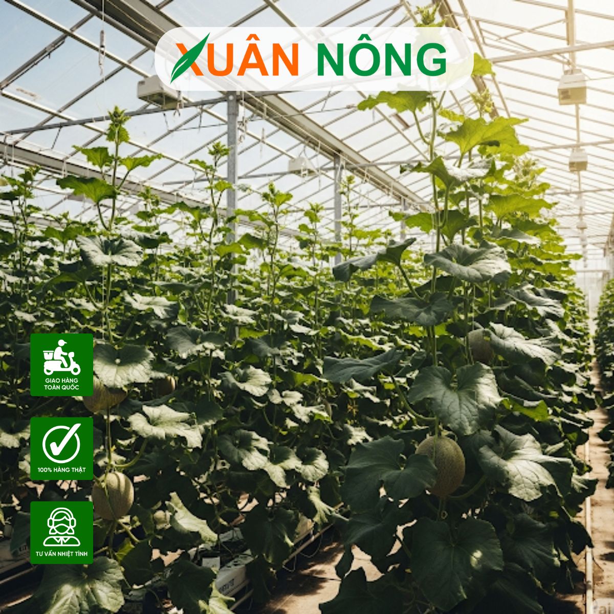 chi-phi-lam-nha-mang-1000m2-tai-an-giang-1