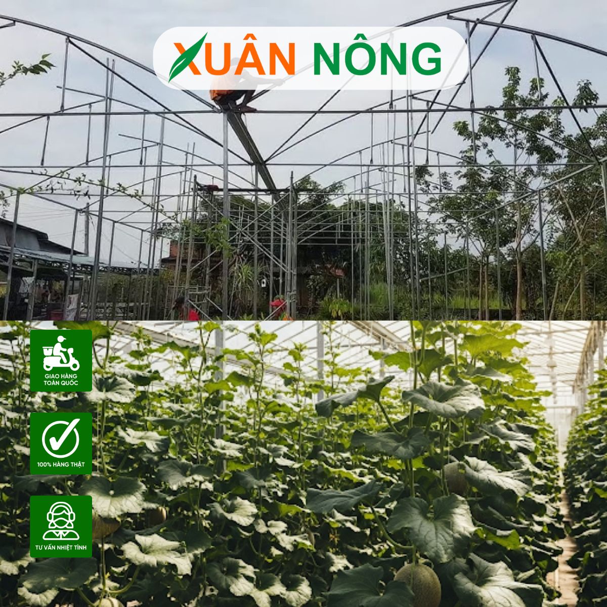 chi-phi-lam-nha-mang-1000m2-tai-an-giang-3