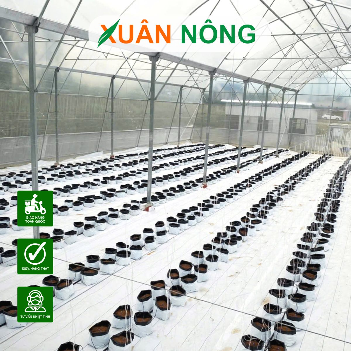 chi-phi-lam-nha-mang-1000m2-tai-vinh-long