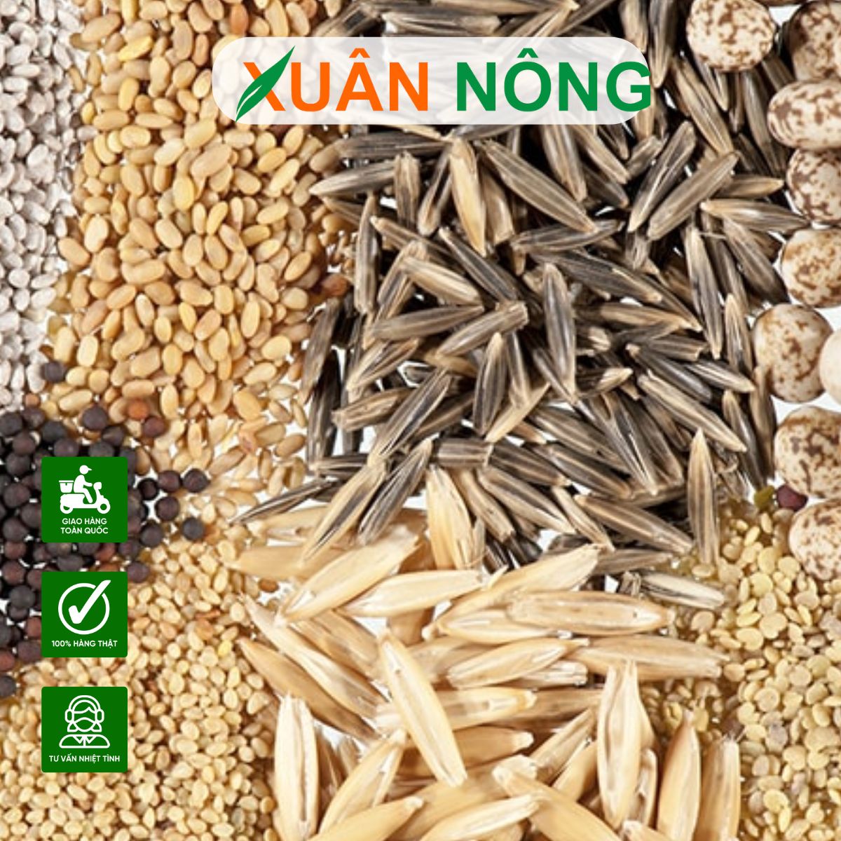 chon-hat-giong-chat-luong-3