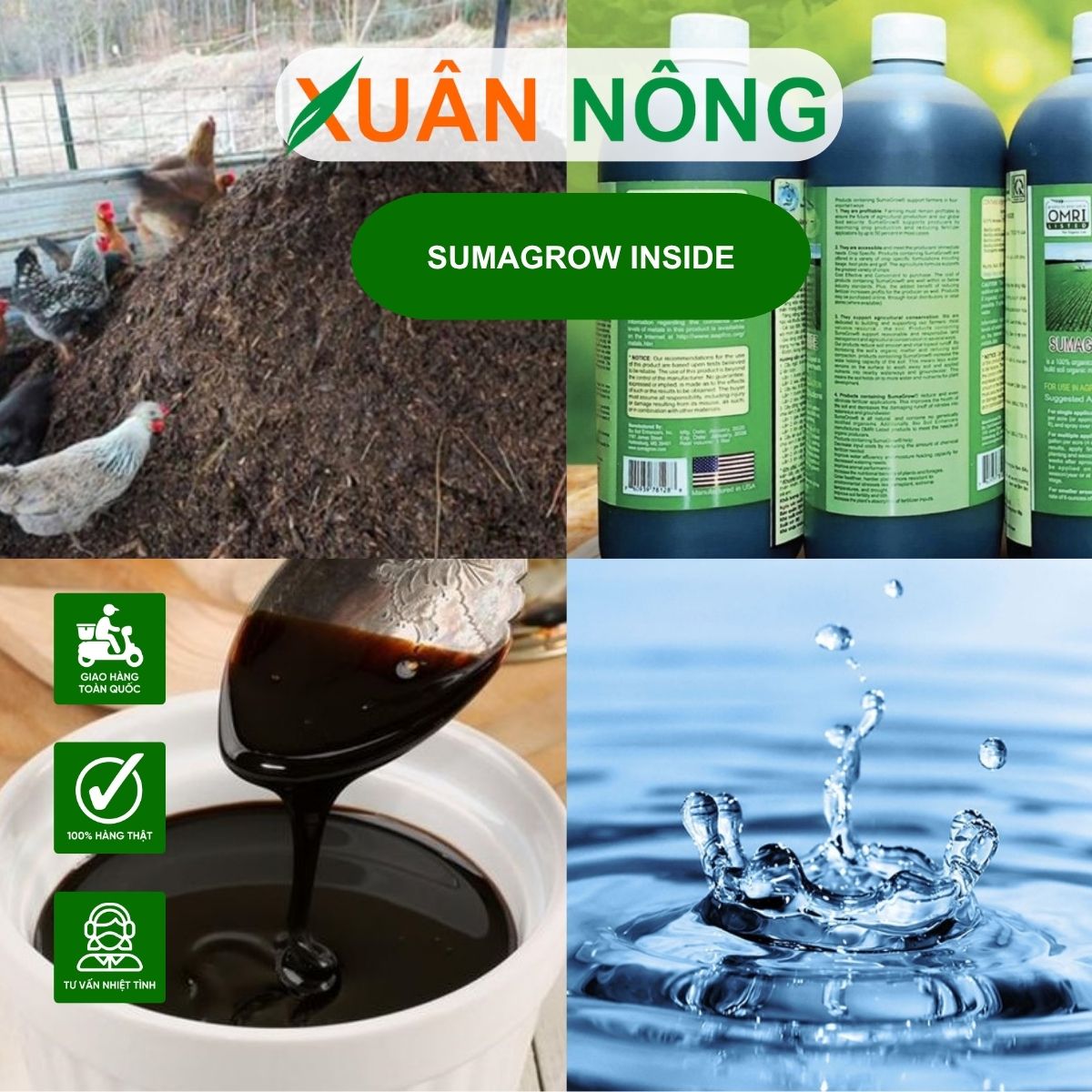 chuan-bi-u-phan-ga