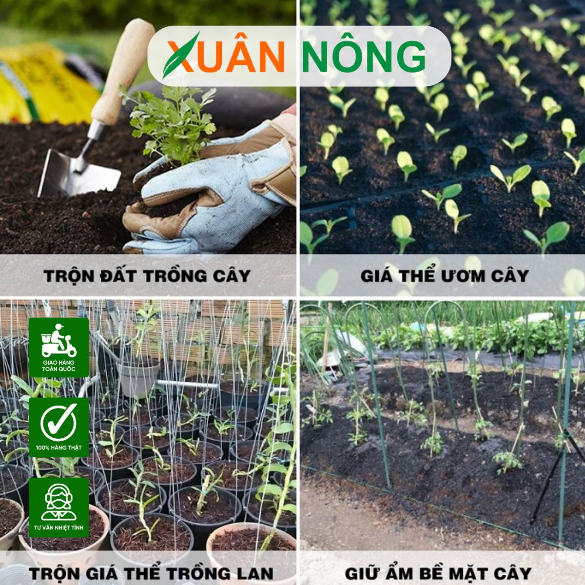 cong-dung-cua-trau