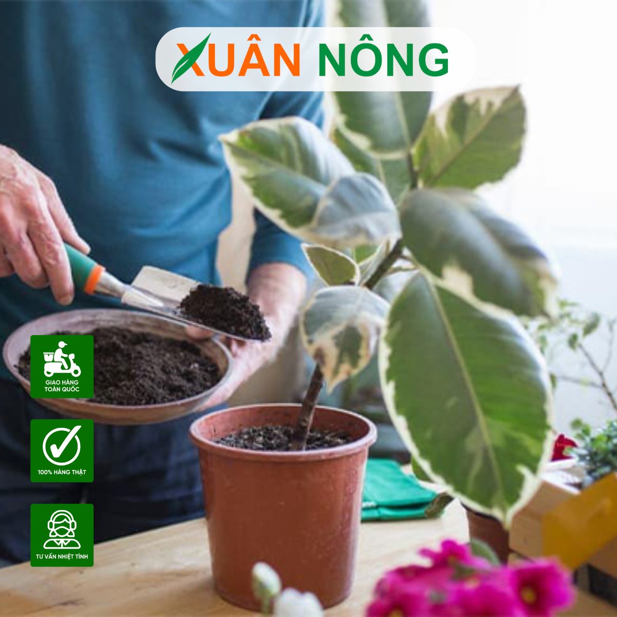 cong-thuc-trong-dat-trong-cay-3
