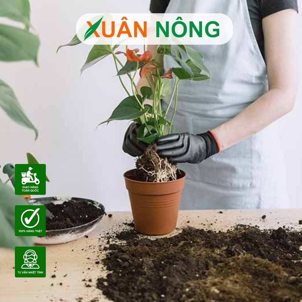 cong-thuc-trong-dat-trong-cay-4