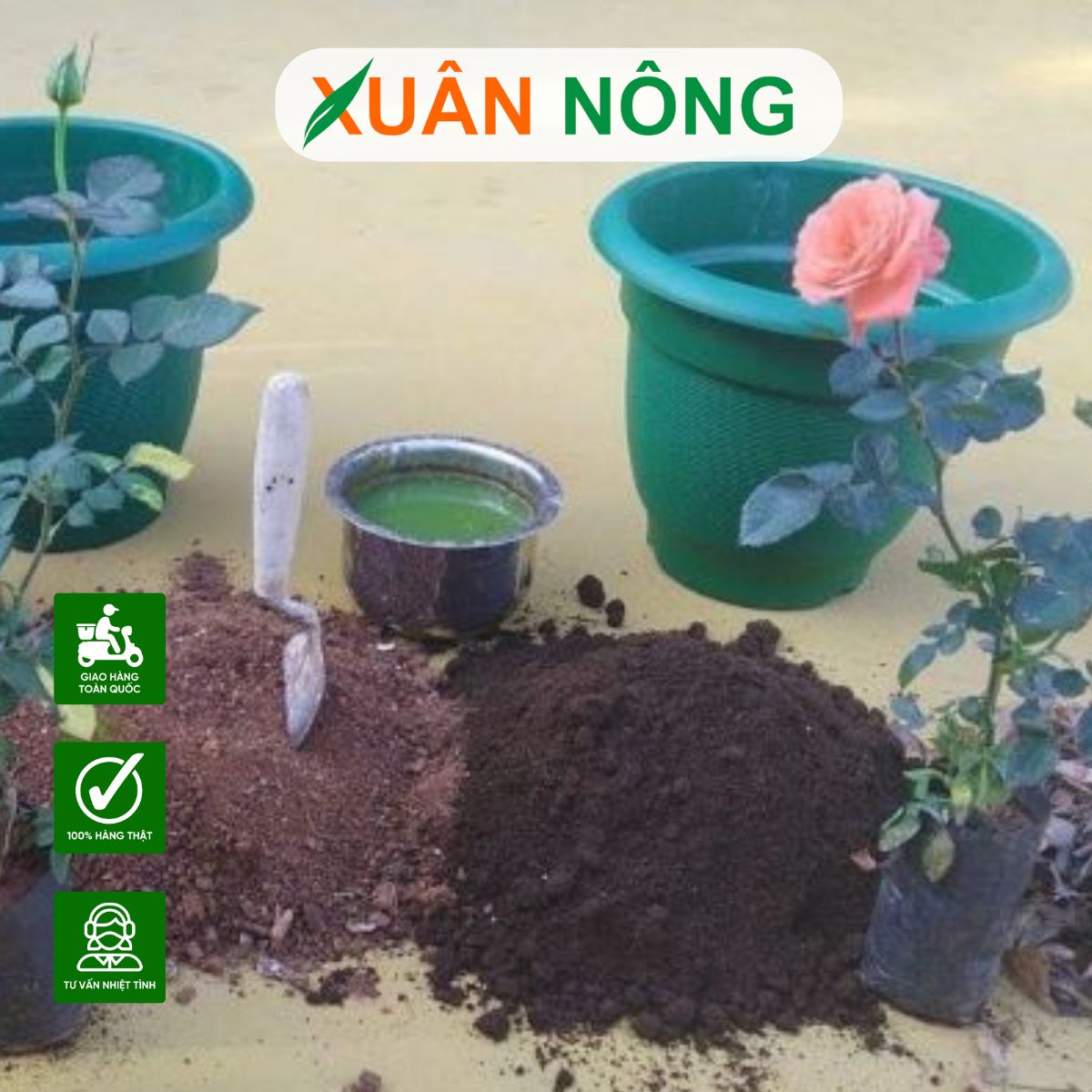 cong-thuc-trong-dat-trong-cay-5