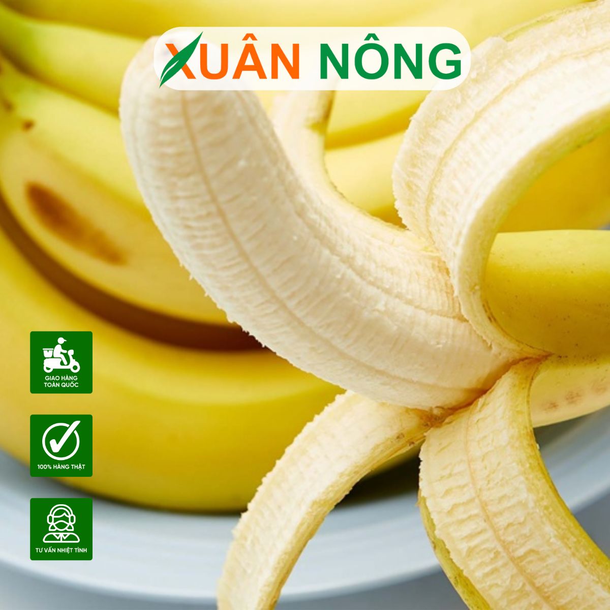 dac-diem-chuoi-tieu